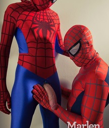 the secret life of the spider man 5a7974140b08c.jpg