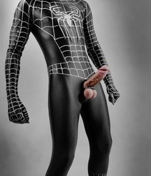 the secret life of the spider man 5a7974210e5a5.jpg