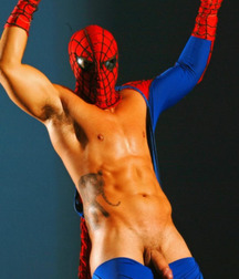 the secret life of the spider man 5a797426d6bec.jpg