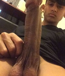cocks from all over the world