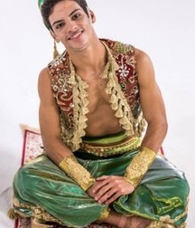 the Aladdin magic carpet 5a925ca1727d1.jpg