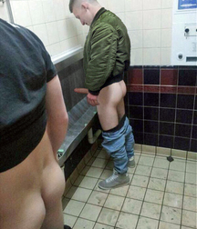 the public urinal 5ab161efeb134.jpg