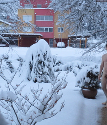 on the cold snow 5ab81bd74cf2e.png