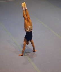 young gymnasts 5abdcb2676085.jpg
