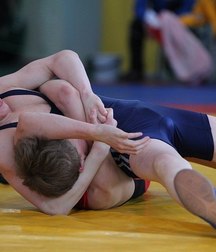 all wrestlers 5ac3ada911c94.jpg