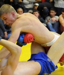 all wrestlers 5ac3adb270574.jpg