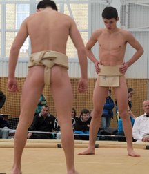 all wrestlers 5ac3adb5ba291.jpg