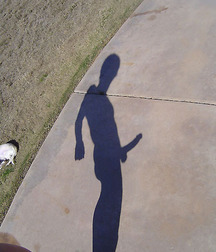 funny photographs 5acddfb5dee9f.jpg