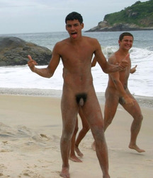 beach boys 5ad0e69de125e.jpg