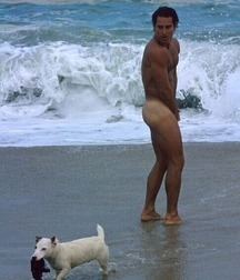 beach boys 5ad0e6a88b581.jpg