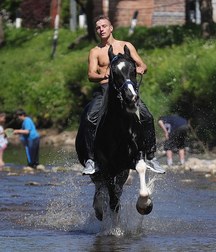 boys and horses 5ad436d24bfb4.jpg
