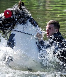 boys and horses 5ad436d3d07c1.jpg
