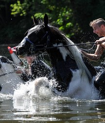 boys and horses 5ad436d500513.jpg