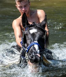 boys and horses 5ad436d631533.jpg