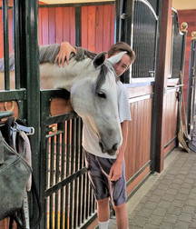 boys and horses 5ad436d8b5721.jpg