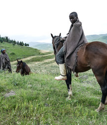 boys and horses 5ad436ddb85b1.jpeg