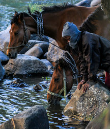boys and horses 5ad436df0a4b0.jpeg