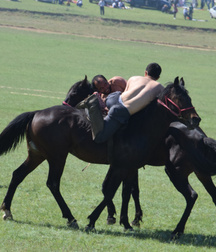 boys and horses 5ad436e1c50ba.jpg