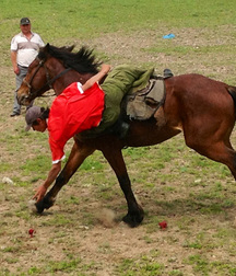 boys and horses 5ad436e860708.jpg