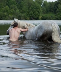 boys and horses 5ad436e98467c.jpg