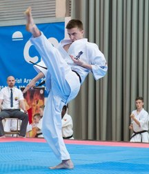 Japanese martial art 5ad8edb32152e.jpg