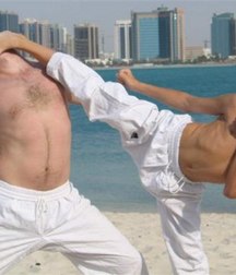 Japanese martial art 5ad8edbbb73dd.jpg