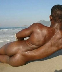 lying down to get a tan 5ad8ee64d251c.jpg