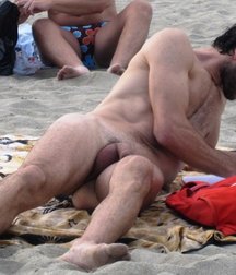 lying down to get a tan 5ad8ee698deb7.jpg