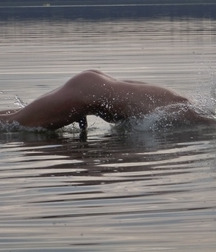 a dip in the water 5ae49d6f1eb2c.jpg