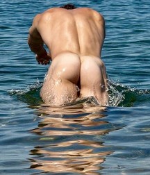 a dip in the water 5ae49d80676ca.jpg