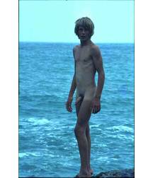 naked on the seashore 5aea093a56a06.jpg