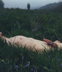 naked surrounded by nature 5aef1993adbb6.jpg