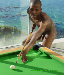 the game of billiards 5af1bd1bec37d.jpg