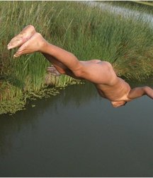 dive all naked 5b0055c9f15f0.jpg