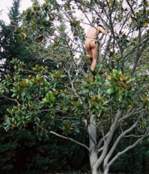 climbing on the tree 5b02e9a2984fa.png