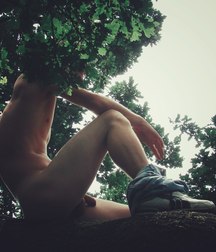 climbing on the tree 5b02e9c4b4258.jpg