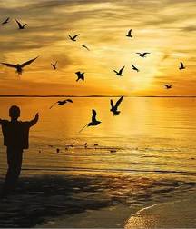 romantic sunset 5b02ea69f3239.jpg