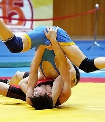 wrestlers 5b06e07e4fa23.jpg
