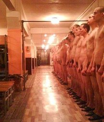 in the Russian army barracks 5b169a79d6911.jpg