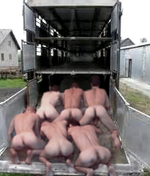 the ass of the males  straight 5b329687b04ec.jpg