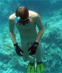 the underwater world 5b39b1c1b4b5d.jpg