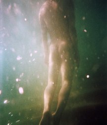 the underwater world 5b39b1c2b1b41.jpg