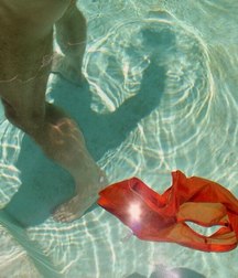 guys in the water 5b3f82e6caea0.jpg