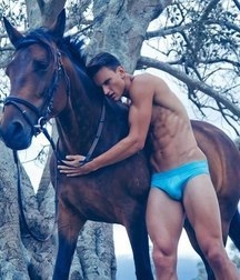 love for the horse