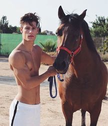 love for the horse 5b577f125ee6a.jpg