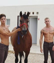 love for the horse 5b577f1fdc47f.jpg