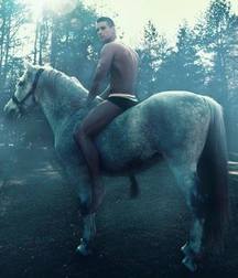 love for the horse 5b577f211e905.jpg