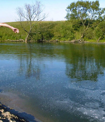 sequence of dives 5b6533dee124a.jpg