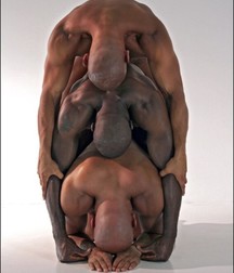 the black body
