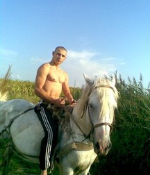 horse and rider